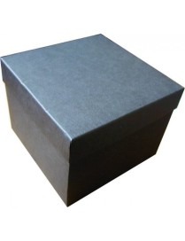 Celtic Cross Money Box