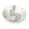 Butterfly Collection