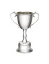 Bullet Trophy Medium