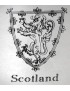 Lion of Scotland Tankard