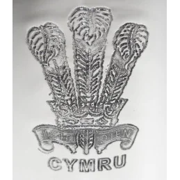 Prince of Wales Feathers Tankard