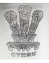 Prince of Wales Feathers Tankard