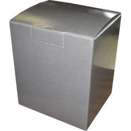 Plain Pewter Tumbler