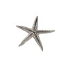 Baby Starfish Shell Ornament