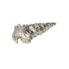 Ceritch Shell Ornament (L)