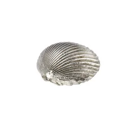Cockle Shell Ornament (L)