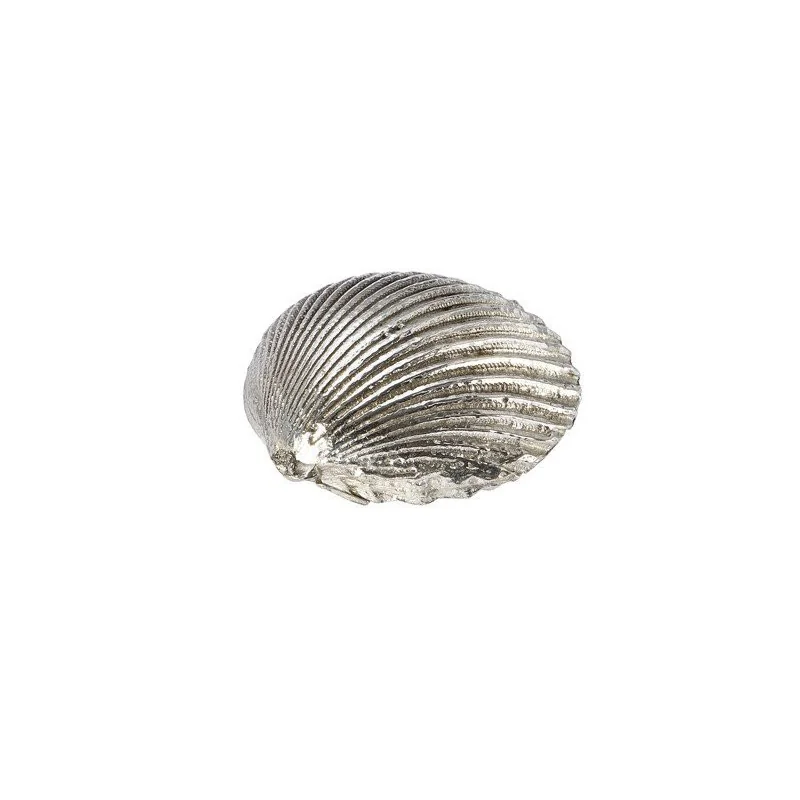 Cockle Shell Ornament (L)