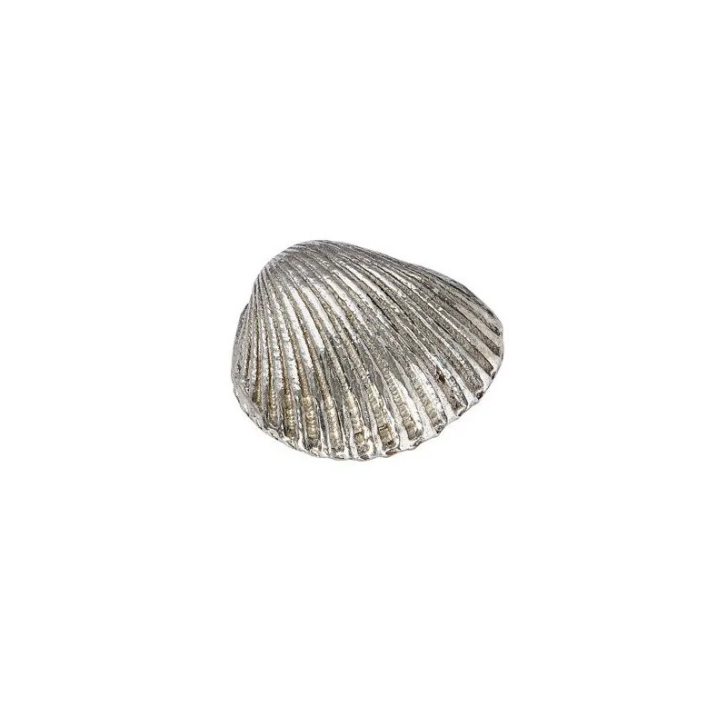 Cockle Shell Ornament (S)
