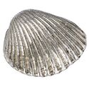 Cockle Pewter Shell Ornament (S)