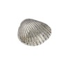 Cockle Shell Ornament (S)