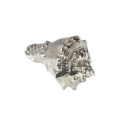 Conch Shell Ornament