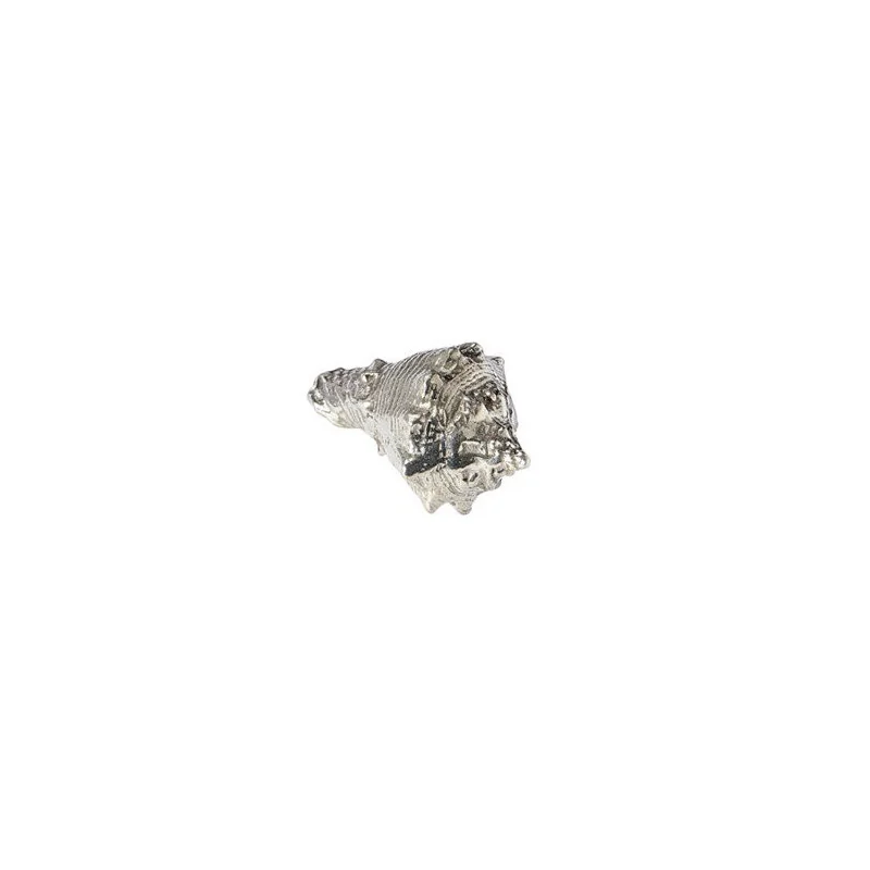 Conch Shell Ornament