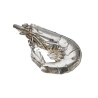 Crevette Shell Ornament