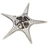 Fancy Starfish Shell Ornament (L)