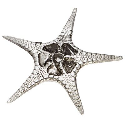 Fancy Starfish Shell Ornament (S)