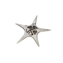 Fancy Starfish Shell Ornament (S)