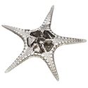 Fancy Starfish Pewter Shell Ornament (S)