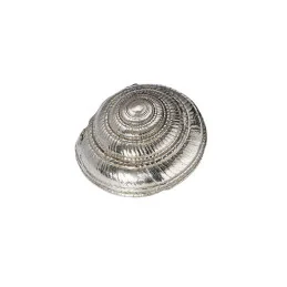 Flat Spiral Shell Ornament (L)