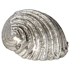 Flat Spiral Shell Ornament