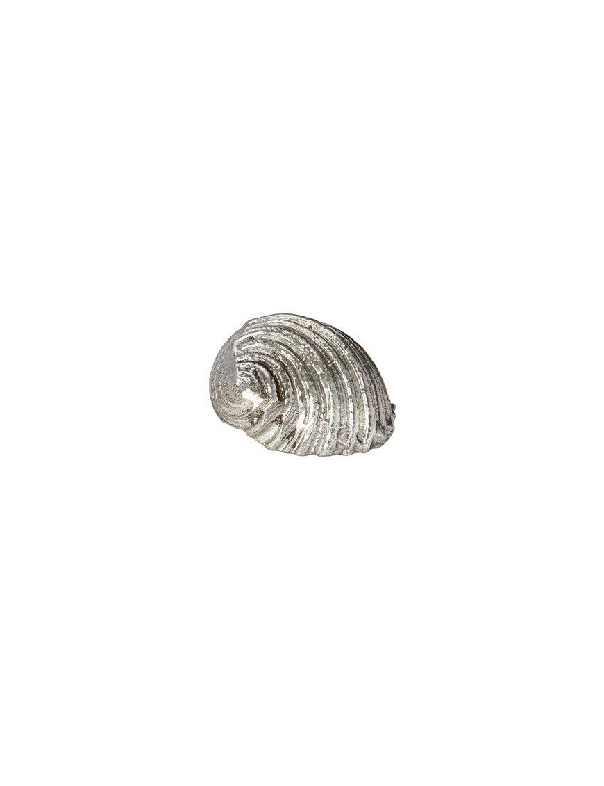 Flat Spiral Shell Ornament