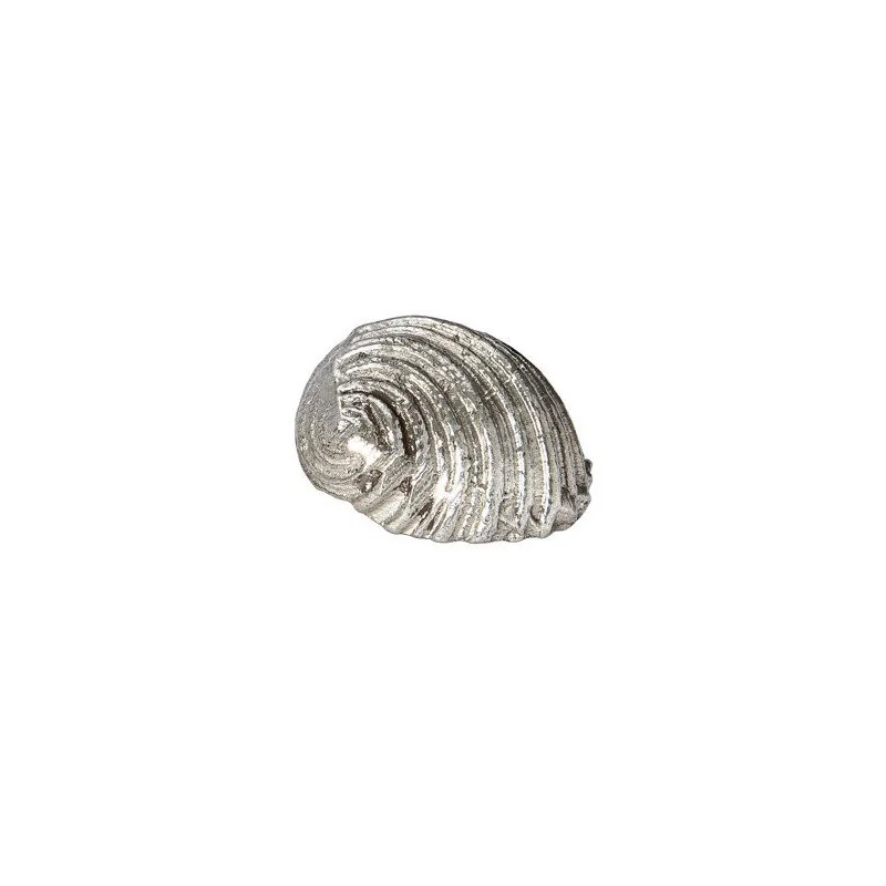 Flat Spiral Shell Ornament
