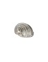 Flat Spiral Shell Ornament