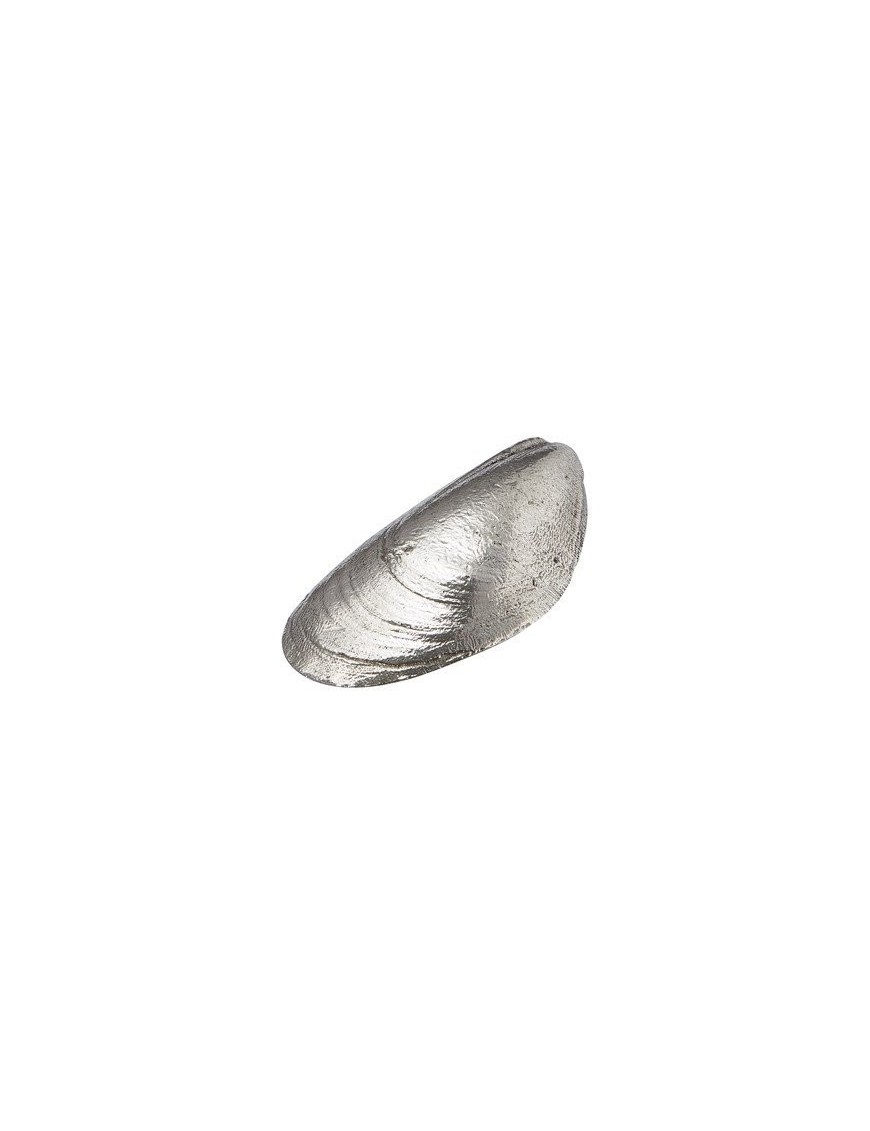 Mussel Pewter Shell Ornament | Pewter World