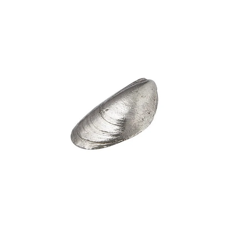 Mussel Shell Ornament