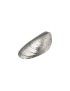 Mussel Shell Ornament