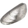 Mussel Shell Ornament