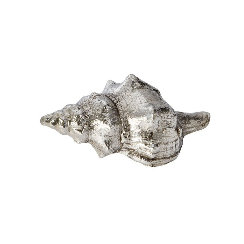 Tulip Shell Ornament