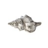 Tulip Shell Ornament