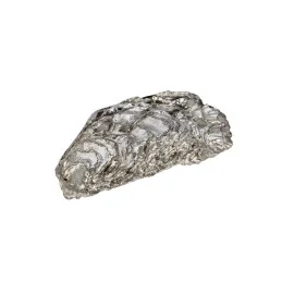 Oyster Shell Back Ornament