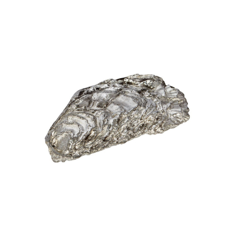 Oyster Shell Back Ornament