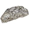 Oyster Shell Back Ornament