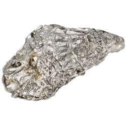 Oyster shell Front Ornament