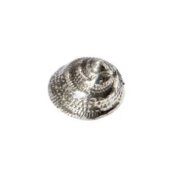 Periwinkle Shell Ornament