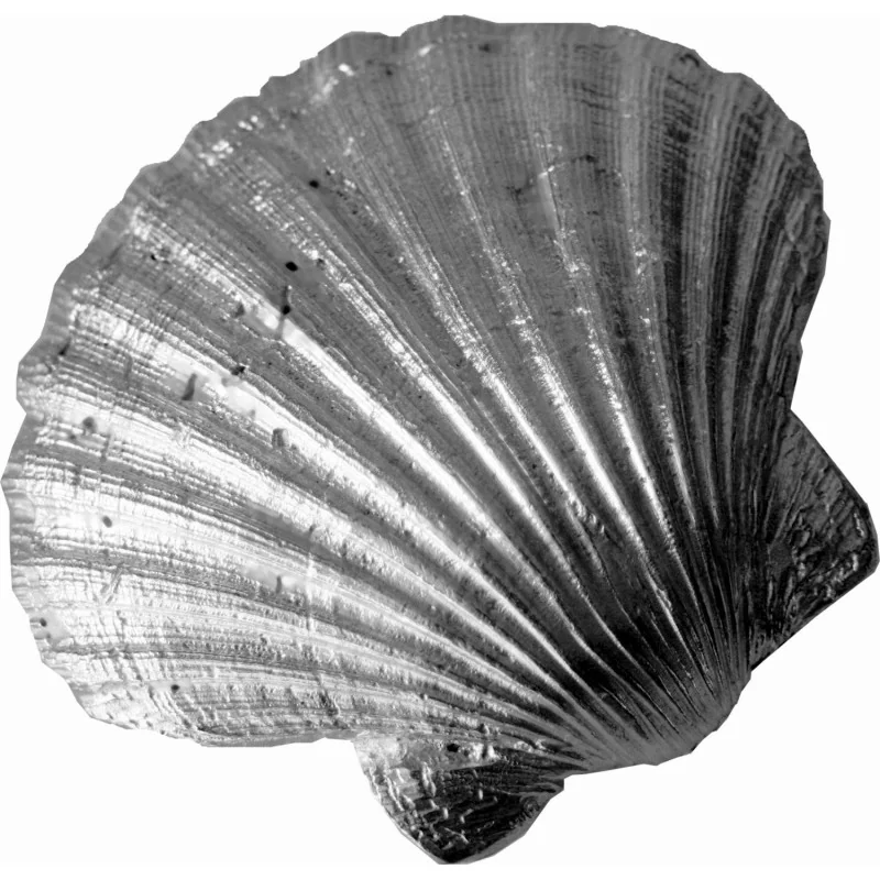 Scallop Shell Ornament