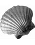 Scallop Shell Ornament