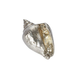 Sea Snail Shell Ornament (L)