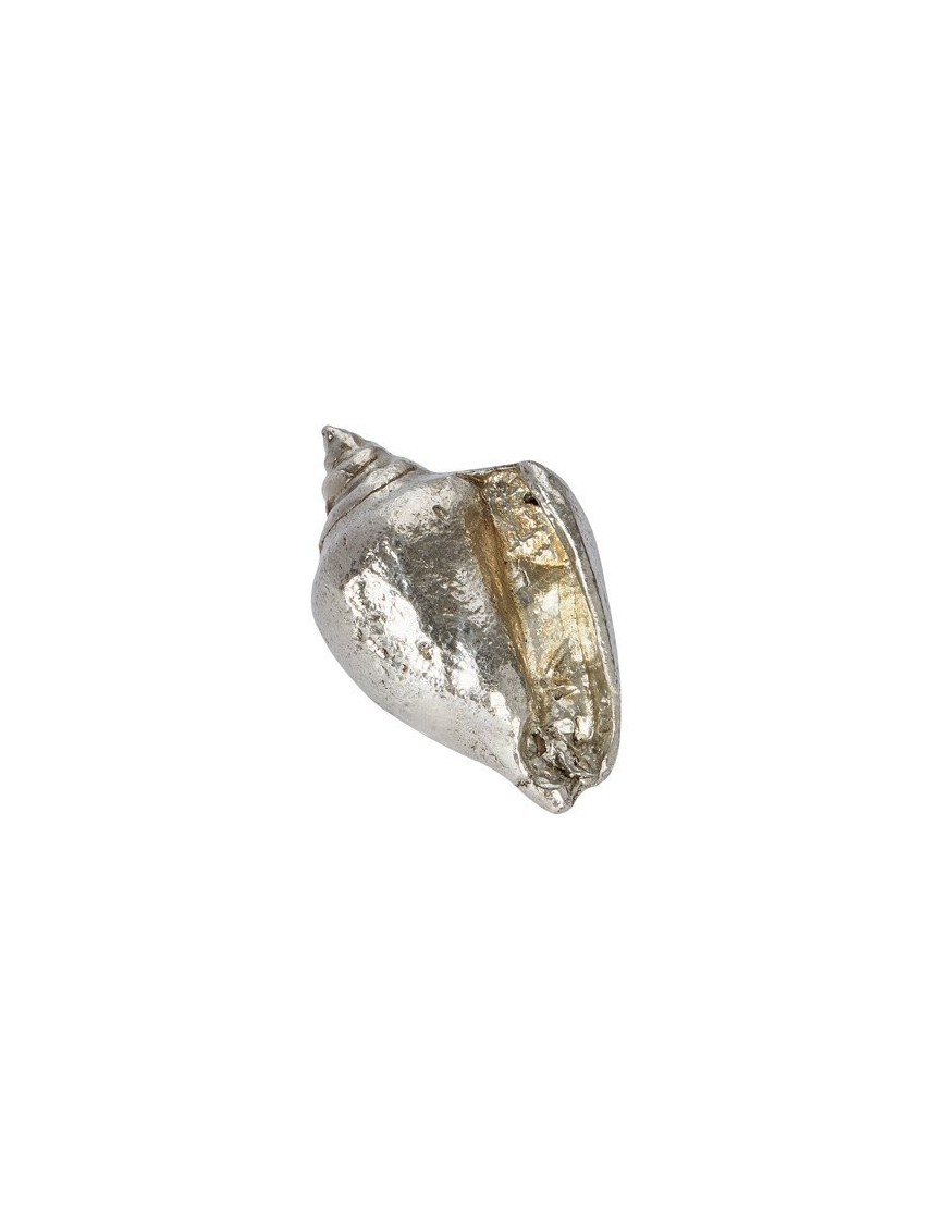 Sea Snail Shell Ornament (L)