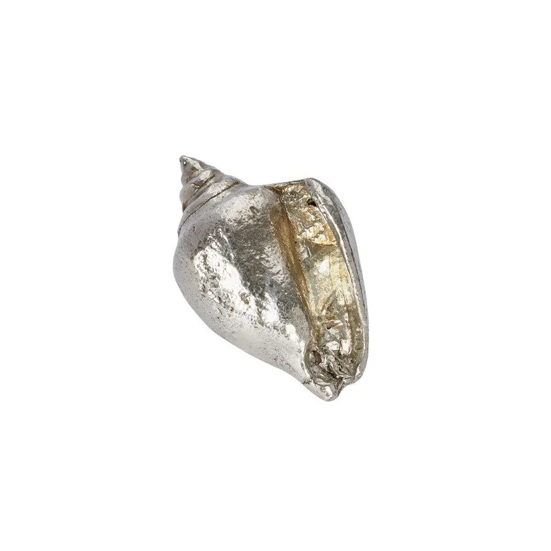 Sea Snail Shell Ornament (L)