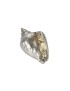 Sea Snail Shell Ornament (L)