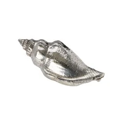 Sea Snail Shell Ornament (M)