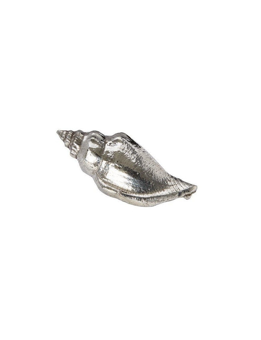 Sea Snail Shell Ornament (M)