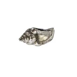 Sea Snail Shell Ornament (S)