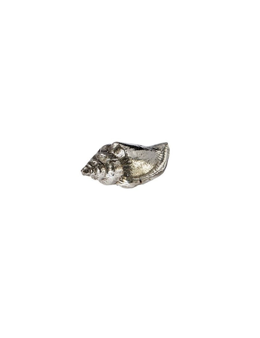 Sea Snail Shell Ornament (S)