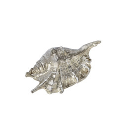 Spider Conch Shell Ornament