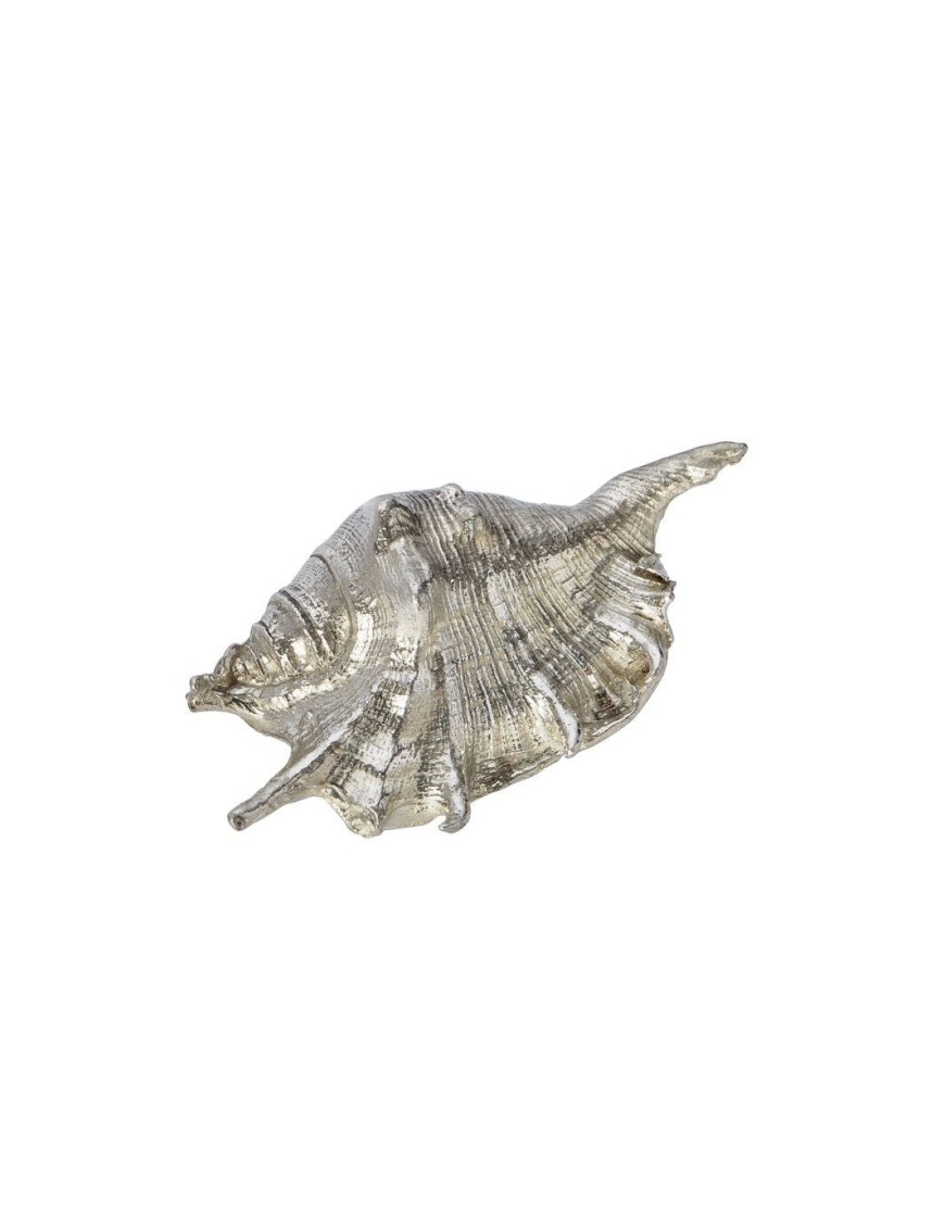Spider Conch Shell Ornament