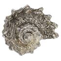 Spikey Pewter Shell Ornament
